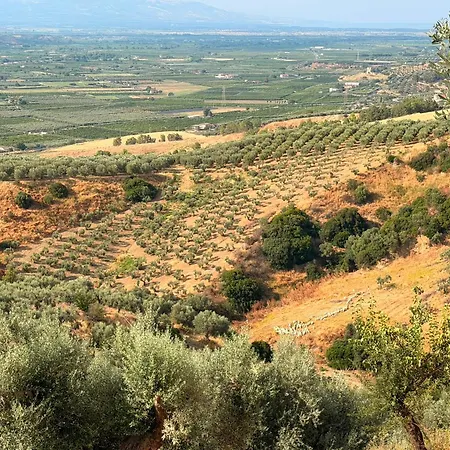 Siviglia Apartman